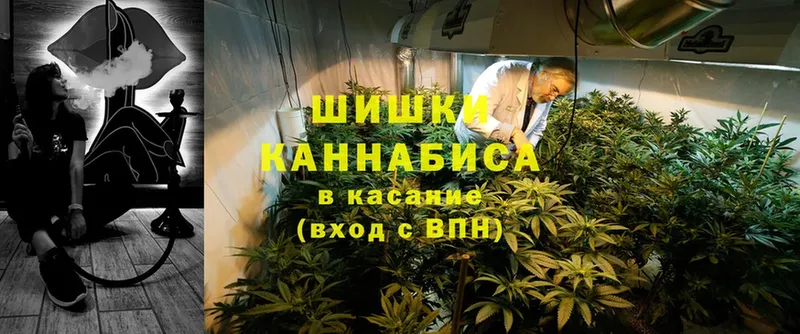 MEGA ссылки  продажа наркотиков  Починок  Бошки Шишки OG Kush 